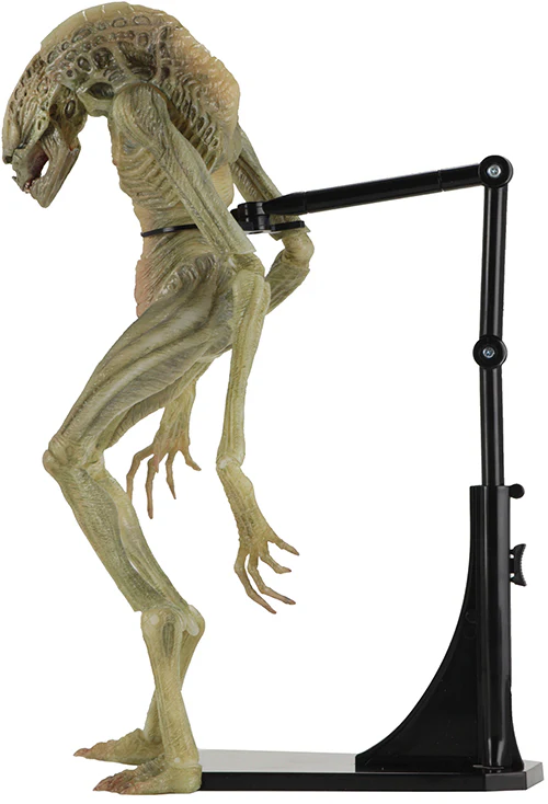 Alien Resurrection 11 Inch Action Figure Deluxe Series - Newborn Alien - Image 2