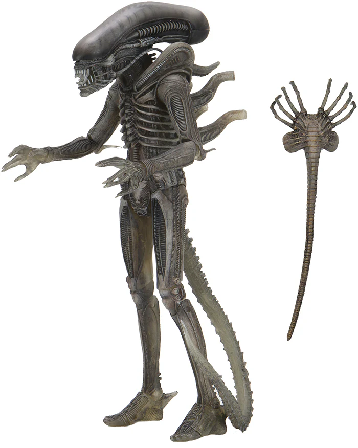 Alien 40th Anniversary 7 Inch Action Figure Series 4 - Giger's Alien (Shelf Wear Packaging) - Image 2