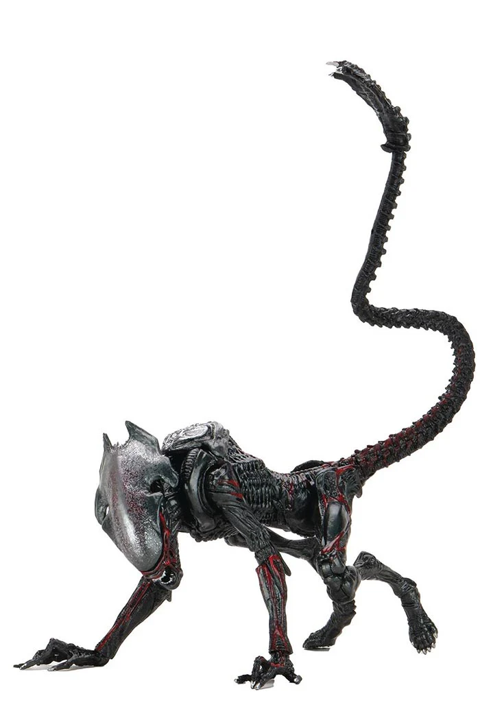 Aliens Kenner Tribute 9 Inch Action Figure Ultimate - Night Cougar Alien - Image 2