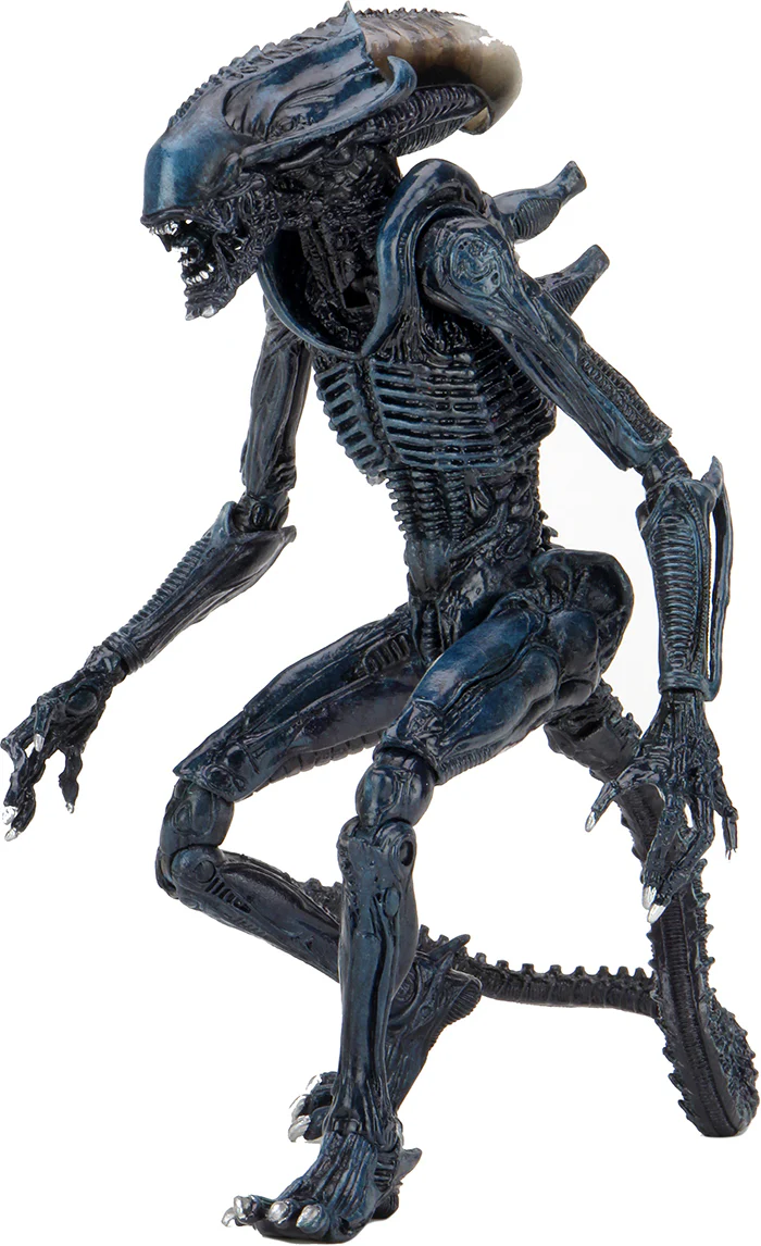 Aliens vs Predator Game Movie Deco 9 Inch Action Figure Ultimate - Arachnoid Alien - Image 2
