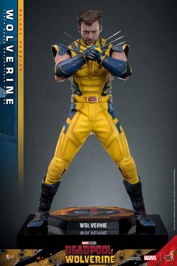 Deadpool & Wolverine 12 Inch Action Figure 1/6 Scale - Wolverine Deluxe Version Hot Toys 9134872 - Image 2